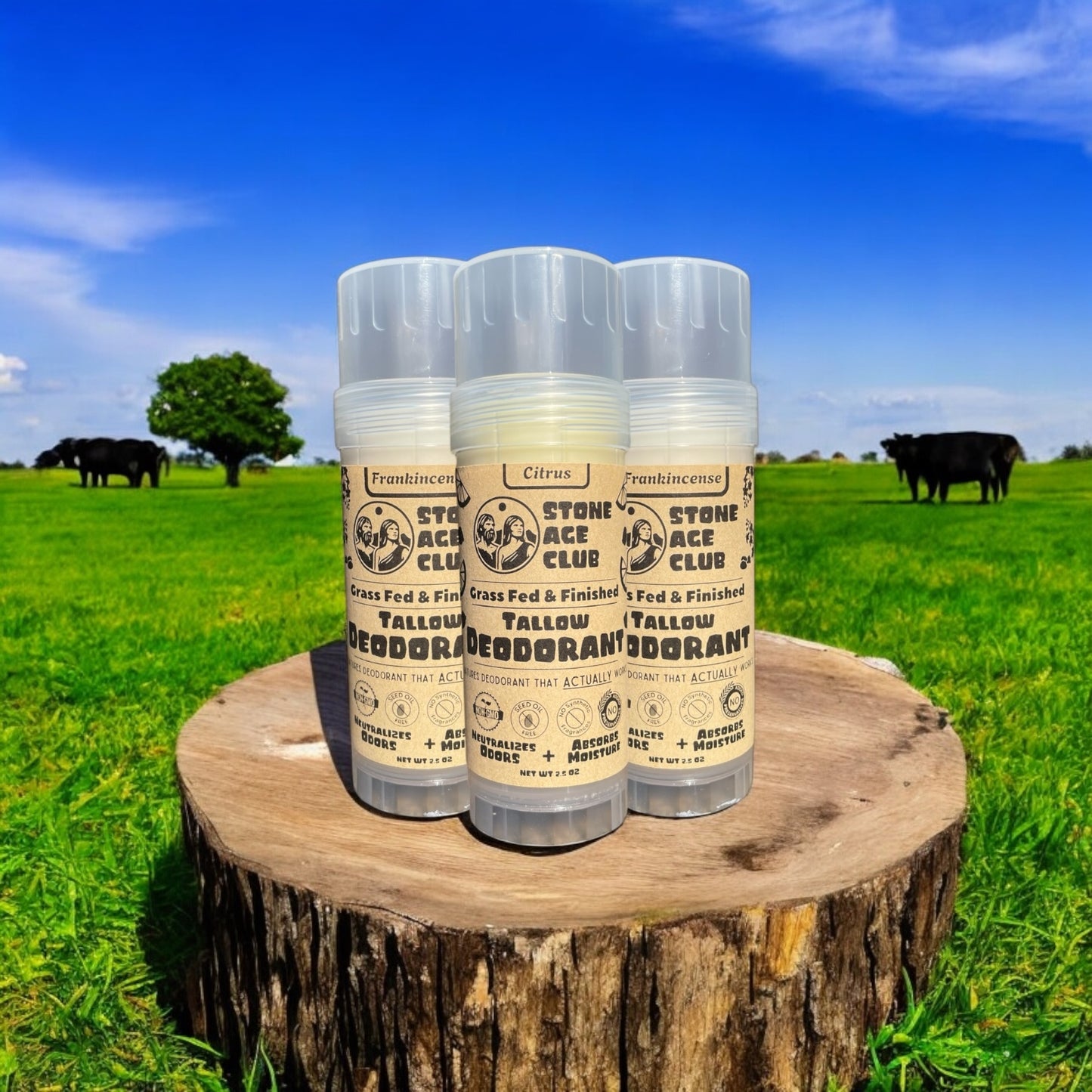 (3 Pack) Tallow Deodorant