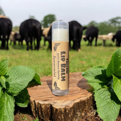 Tallow Lip Balm