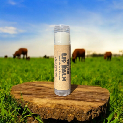 Tallow Lip Balm